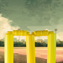 Lightweight, durable plastic cricket bat designed for easy handling by young children.