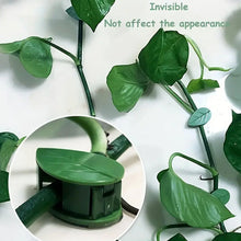 Leaf-shaped green plant climbing clips neatly arranged on a white background.