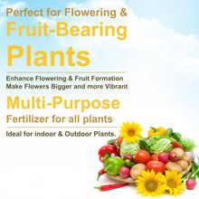 Natural plant nutrition mustard cake powder enhancing growth