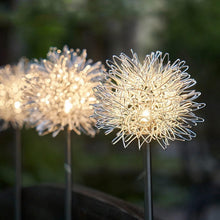 Solar LED dandelion garden lights displaying bright multicolor glow at night