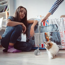 Paw Spin LED Tail Ball