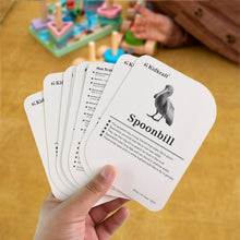 Back view of educational bird flashcards showing laminated quality and rounded edges
