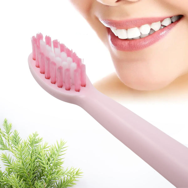 Portable electric toothbrush with extra brush head