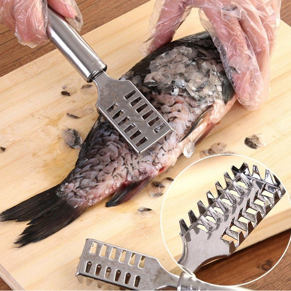 Stainless Steel Fish Scale Remover with sawtooth edge for efficient cleaning.