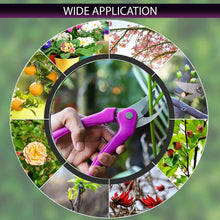 Complete Gardening Tool Kit (1 Set)