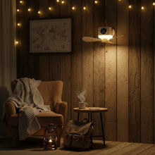 Camping tent fan with light, timer and hanging hook for outdoors