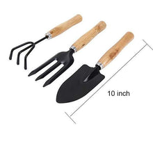 A small trowel, hand fork, and cultivator, ready for planting and soil preparation tasks.
