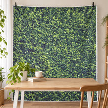 Photography backdrop white bg