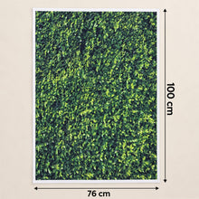 Backdrop cloth size 100x75cm