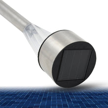 A single Solar LED Spike Light firmly planted in a lush green garden bed.