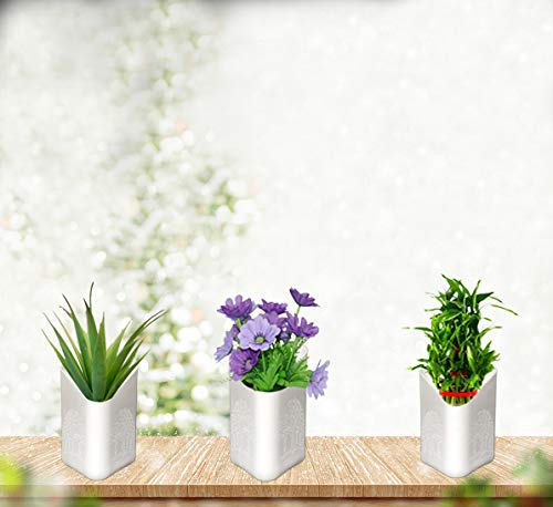 Multicolour hanging planter pot displayed against a wall, perfect for a vertical garden.