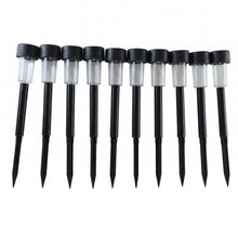 Solar lights glowing night garden