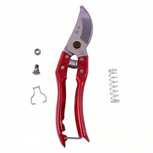 Garden shears on white background for size reference