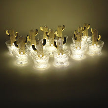 Decorative flameless cactus candle with LED light inside transparent holder