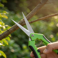 A hand holds green and black snips, pruning a thin tree branch in a garden setting with soft lighting.