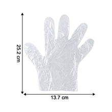 Disposable Clear Plastic Gloves (100 Pc, Large)
