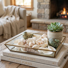 Group of assorted natural shells for decorative and craft purposes
