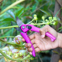 Flower Cutter Garden Scissors Stainless Steel Pruner Soft Grip (1 Pc)