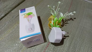 The energy-efficient mushroom night light with its auto on/off sensor in action.